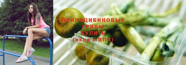 apvp Верея