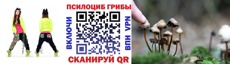 дарнет шоп  Верхняя Салда  Галлюциногенные грибы Psilocybe 